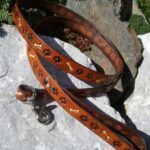 Pes stopa razidlo do kůže