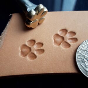 Pes stopa razidlo do kůže