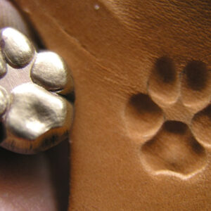 Pes stopa razidlo do kůže