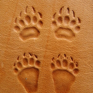 Medvěd 4 stopy raznice do kůže