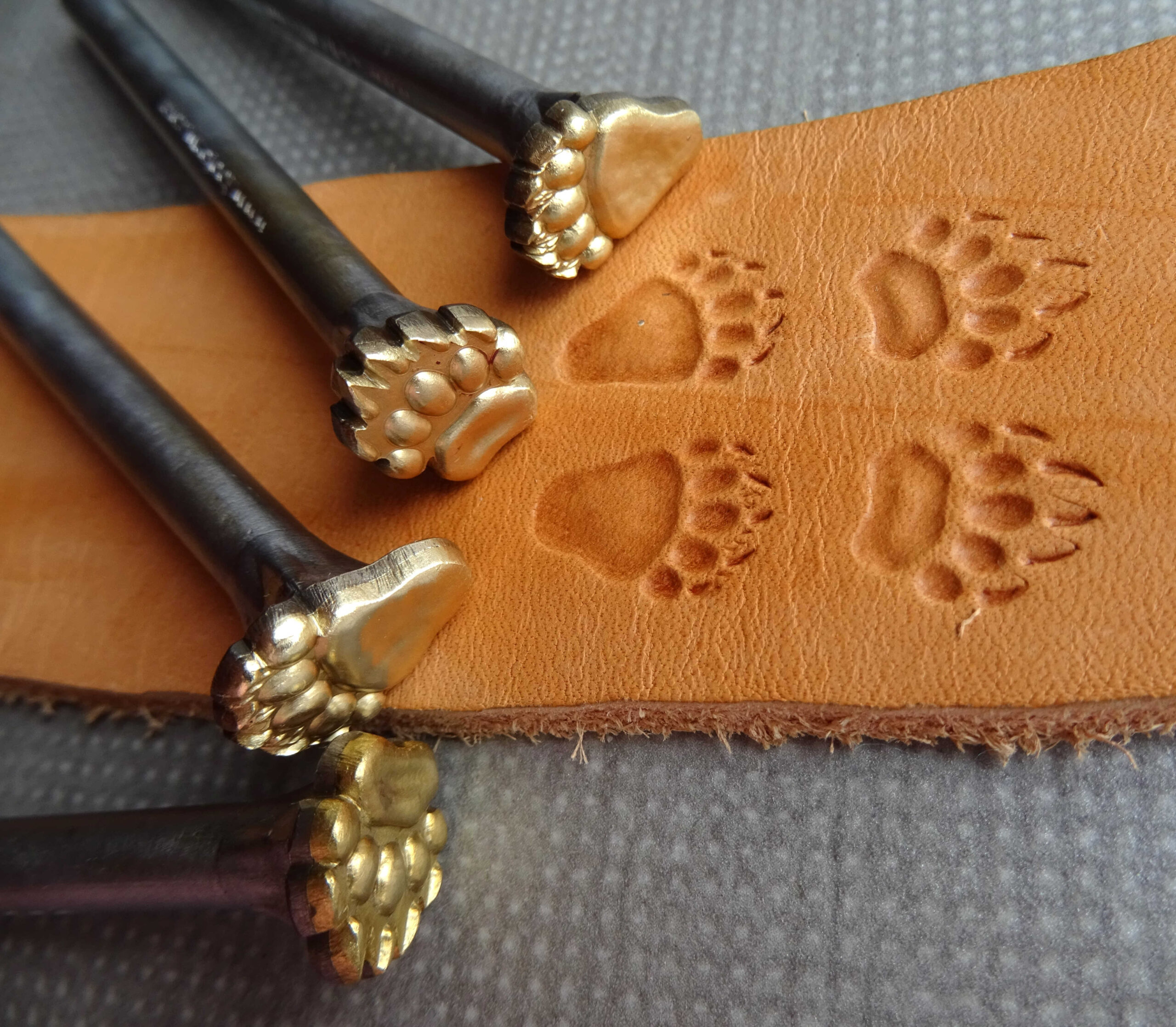 Medvěd 4 stopy raznice do kůže