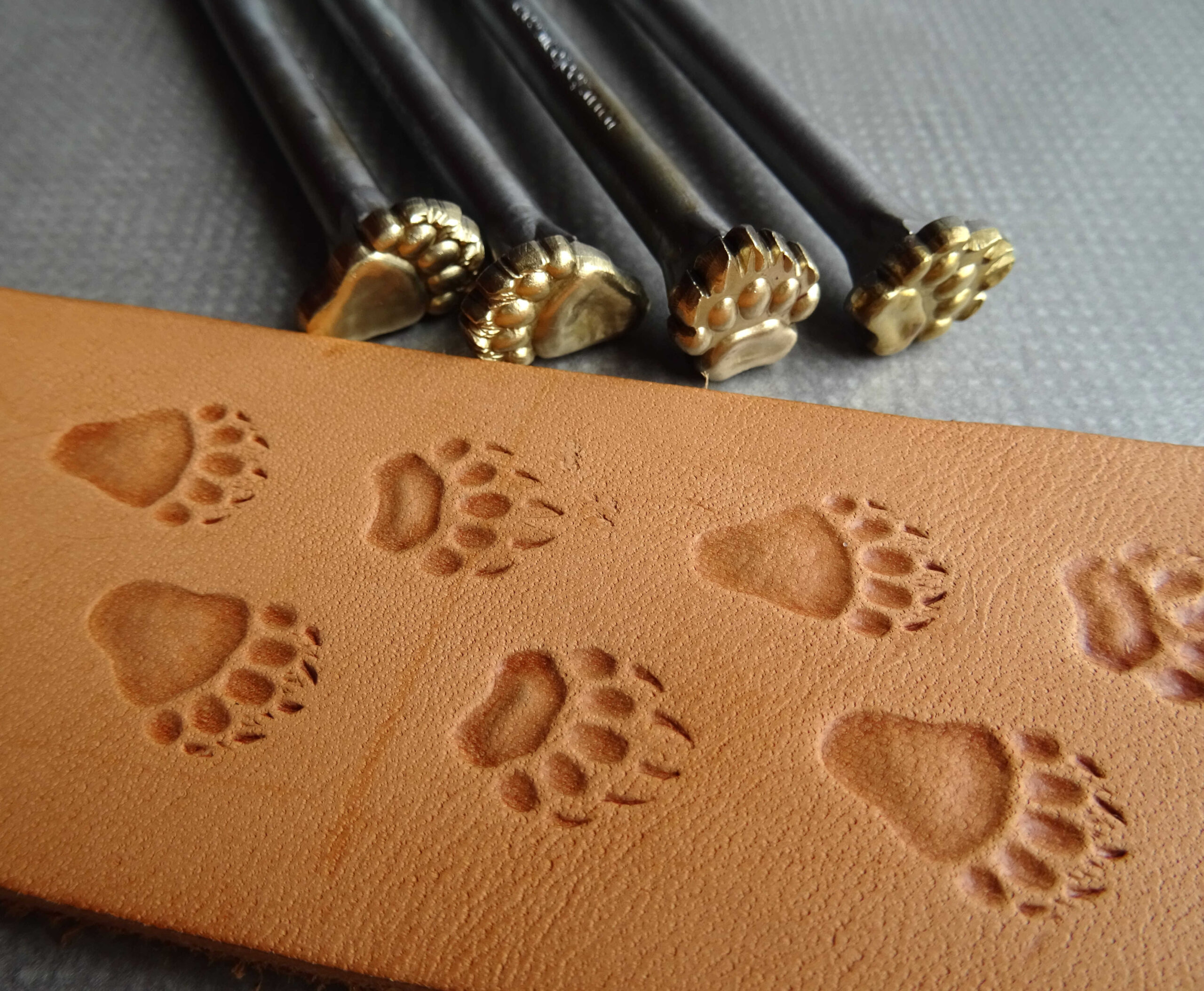 Medvěd 4 stopy raznice do kůže