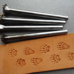 Medvěd 4 stopy raznice do kůže