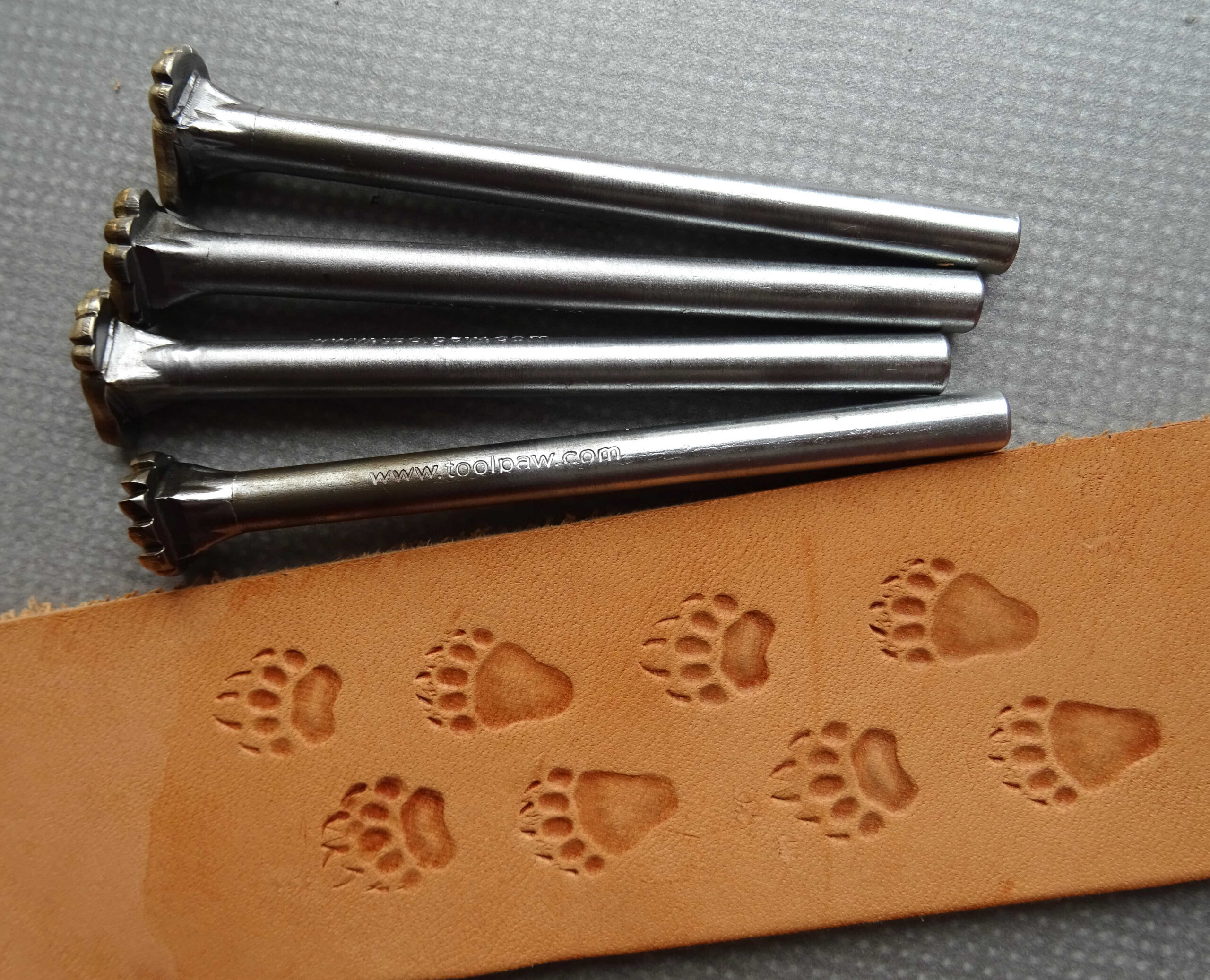 Medvěd 4 stopy raznice do kůže