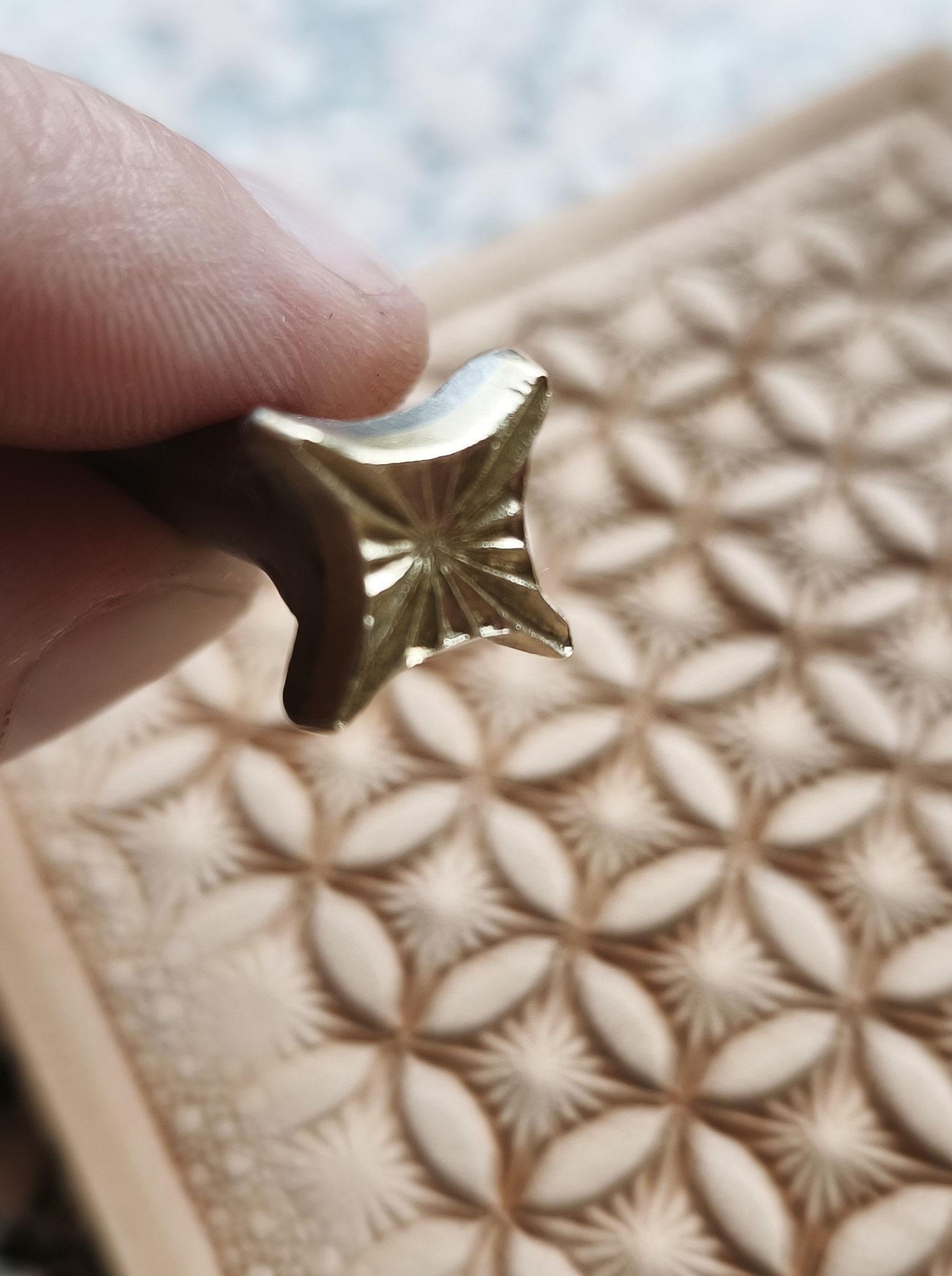 Hvězda s ornamentem do kůže